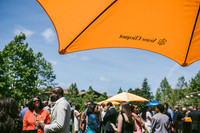 Veuve Culture Shift