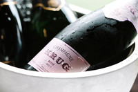 Krug - Log Cabin SF