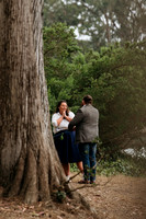 Proposal