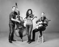 AIM Ensemble Final Images