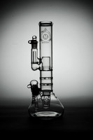 August 10 - 3rd Shoot