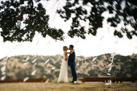 Weddings