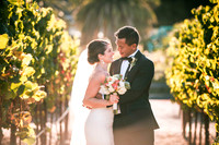 Wedding and Engagement Portfolio