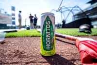 Fantasy Batting Practice 2022